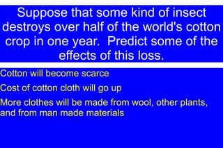Suppose that some kind of insect destroys over half of the world's cotton crop in one year.  Predict some of the effects of this loss. 