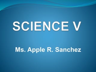 Ms. Apple R. Sanchez
 