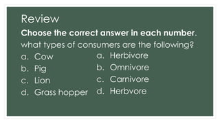 Review
Choose the correct answer in each number.
what types of consumers are the following?
a. Cow
b. Pig
c. Lion
d. Grass hopper
a. Herbivore
b. Omnivore
c. Carnivore
d. Herbvore
 