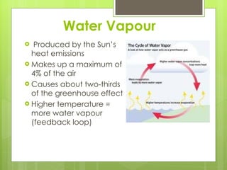 Water Vapour  Produced by the Sun’s heat emissions  Makes up a maximum of 4% of the air Causes about two-thirds of the greenhouse effect  Higher temperature = more water vapour (feedback loop) 