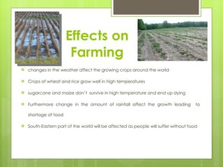 Effects on Farming changes in the weather affect the growing crops around the world Crops of wheat and rice grow well in high temperatures sugarcane and maize don’t  survive in high temperature and end up dying Furthermore change in the amount of rainfall affect the growth leading  to shortage of food South-Eastern part of the world will be affected as people will suffer without food  