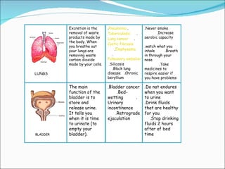 Science water i excretory system | PPT