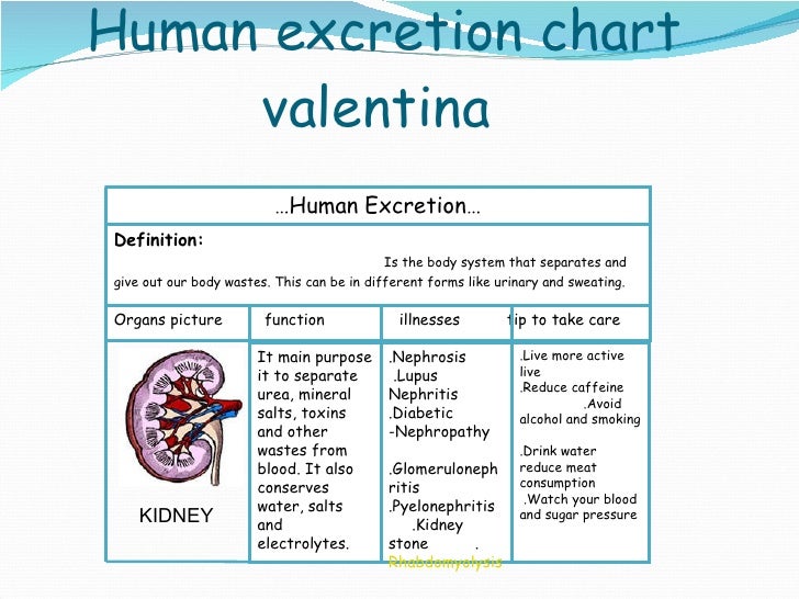 Science water i excretory system