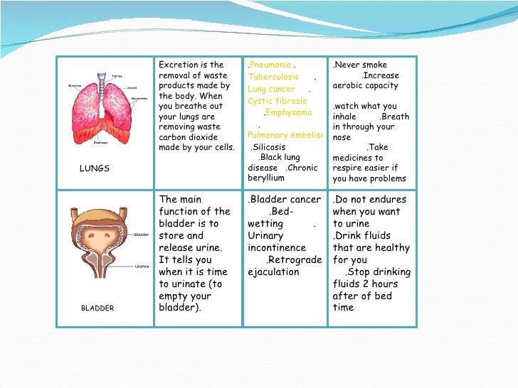 Science water i excretory system