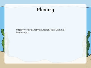 Plenary
https://wordwall.net/resource/36365981/animal-
habitat-quiz
 