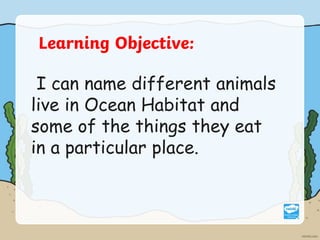 Learning Objective:
I can name different animals
live in Ocean Habitat and
some of the things they eat
in a particular place.
 