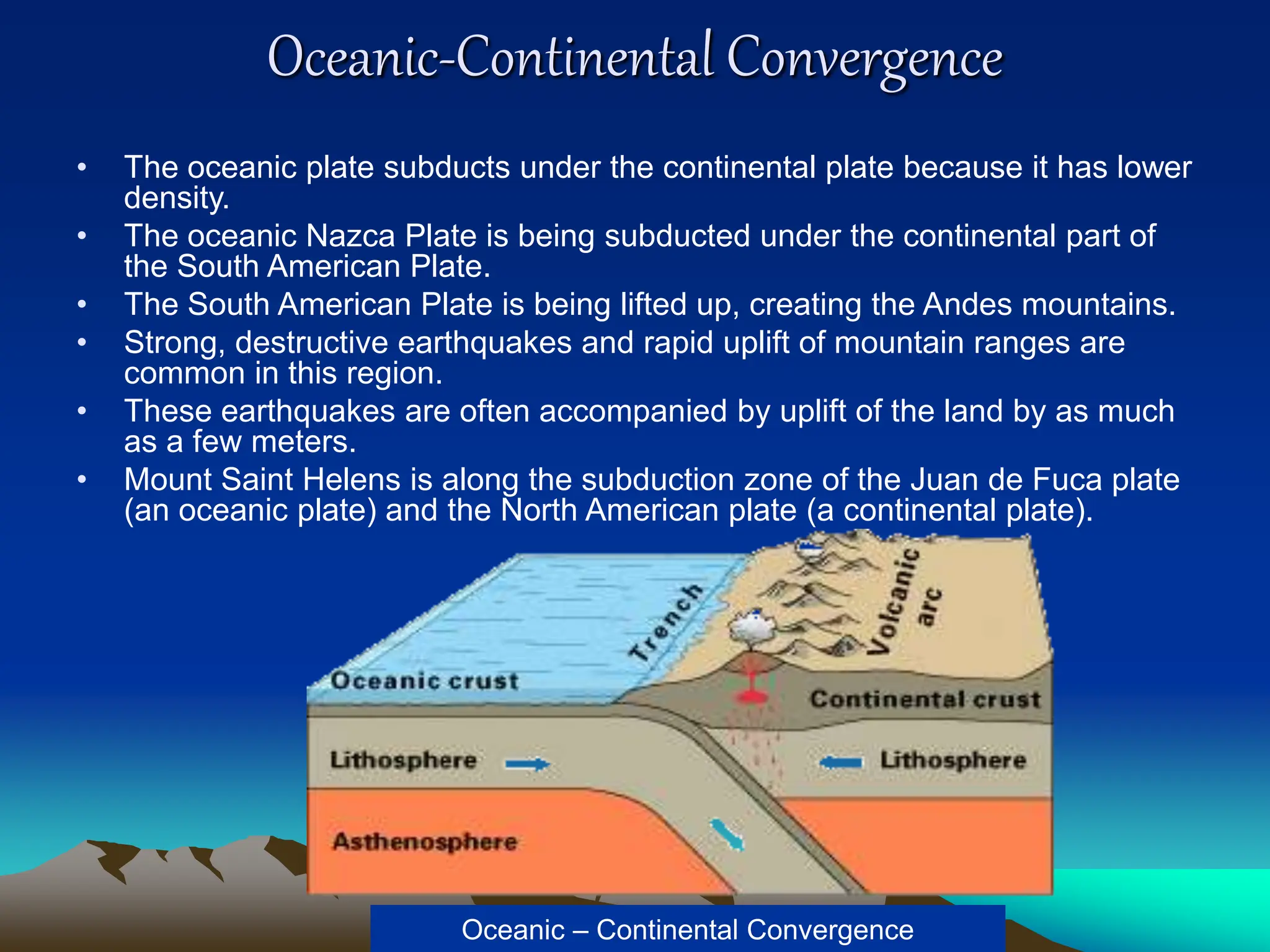 Oceanic-Continental Convergence
• The oceanic plate subducts under the continental plate because it has lower
density.
• The oceanic Nazca Plate is being subducted under the continental part of
the South American Plate.
• The South American Plate is being lifted up, creating the Andes mountains.
• Strong, destructive earthquakes and rapid uplift of mountain ranges are
common in this region.
• These earthquakes are often accompanied by uplift of the land by as much
as a few meters.
• Mount Saint Helens is along the subduction zone of the Juan de Fuca plate
(an oceanic plate) and the North American plate (a continental plate).
Oceanic – Continental Convergence
 
