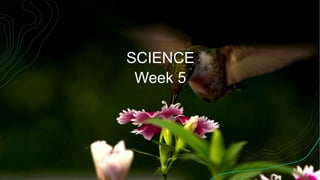 SCIENCE
Week 5
 