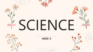 SCIENCE
WEEK 5
 