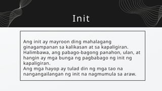 Init
Ang init ay mayroon ding mahalagang
ginagampanan sa kalikasan at sa kapaligiran.
Halimbawa, ang pabago-bagong panahon, ulan, at
hangin ay mga bunga ng pagbabago ng init ng
kapaligiran.
Ang mga hayop ay tulad din ng mga tao na
nangangailangan ng init na nagmumula sa araw.
 