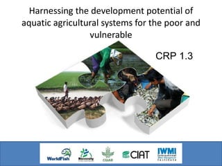 Harnessing the development potential of aquatic agricultural systems for the poor and vulnerable CRP 1.3 