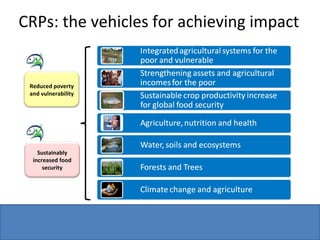 CRPs: the vehicles for achieving impact Sustainably increased food security Reduced poverty and vulnerability 