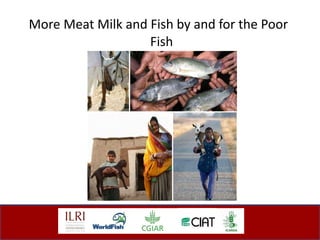 More Meat Milk and Fish by and for the Poor   Fish 