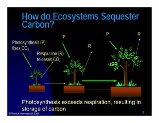 How do Ecosystems Sequester
           Carbon?
                                             P            R
               ...