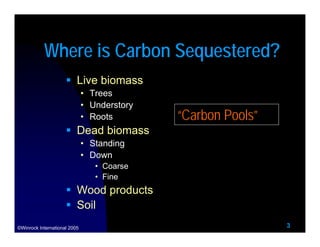 Where is Carbon Sequestered?
                          Live biomass
                              • Trees
                ...