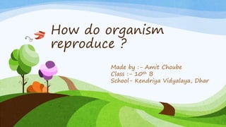 How do organism
reproduce ?
Made by :- Amit Choube
Class :- 10th B
School- Kendriya Vidyalaya, Dhar
 