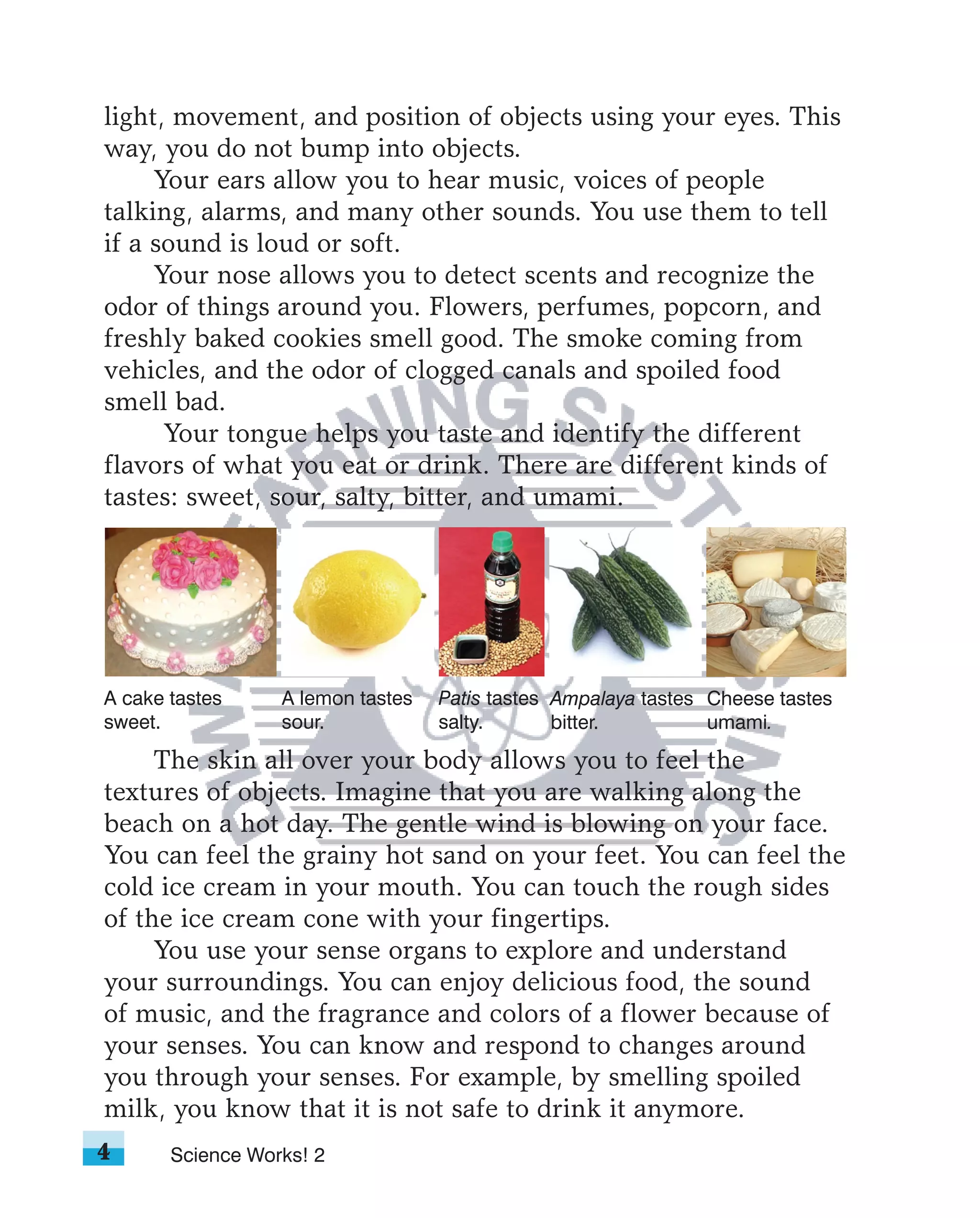 light, movement, and position of objects using your eyes. This
way, you do not bump into objects.
     Your ears allow you to hear music, voices of people
talking, alarms, and many other sounds. You use them to tell
if a sound is loud or soft.
     Your nose allows you to detect scents and recognize the
odor of things around you. Flowers, perfumes, popcorn, and
freshly baked cookies smell good. The smoke coming from
vehicles, and the odor of clogged canals and spoiled food
smell bad.
      Your tongue helps you taste and identify the different
flavors of what you eat or drink. There are different kinds of
tastes: sweet, sour, salty, bitter, and umami.




A cake tastes     A lemon tastes   Patis tastes Ampalaya tastes Cheese tastes
sweet.            sour.            salty.       bitter.         umami.
     The skin all over your body allows you to feel the
textures of objects. Imagine that you are walking along the
beach on a hot day. The gentle wind is blowing on your face.
You can feel the grainy hot sand on your feet. You can feel the
cold ice cream in your mouth. You can touch the rough sides
of the ice cream cone with your fingertips.
     You use your sense organs to explore and understand
your surroundings. You can enjoy delicious food, the sound
of music, and the fragrance and colors of a flower because of
your senses. You can know and respond to changes around
you through your senses. For example, by smelling spoiled
milk, you know that it is not safe to drink it anymore.
4      Science Works! 2
 