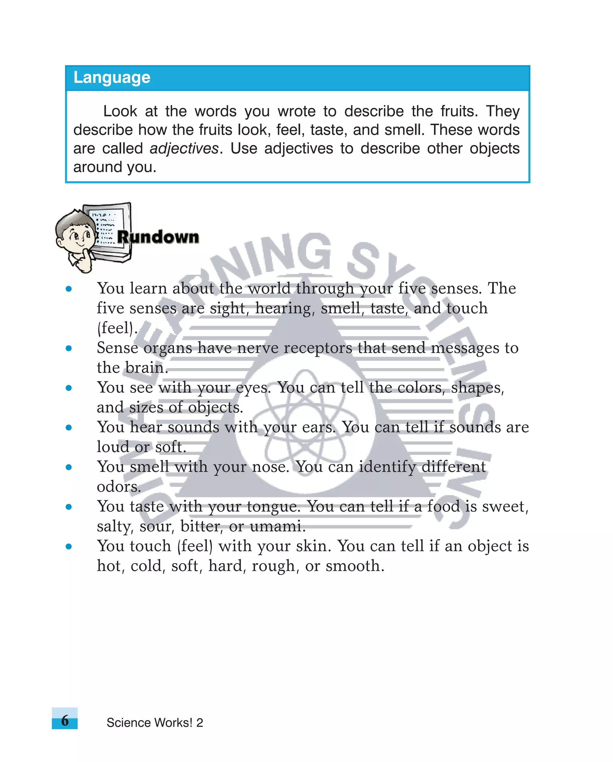 Language

        Look at the words you wrote to describe the fruits. They
    describe how the fruits look, feel, taste, and smell. These words
    are called adjectives. Use adjectives to describe other objects
    around you.




       You learn about the world through your five senses. The
       five senses are sight, hearing, smell, taste, and touch
       (feel).
       Sense organs have nerve receptors that send messages to
       the brain.
       You see with your eyes. You can tell the colors, shapes,
       and sizes of objects.
       You hear sounds with your ears. You can tell if sounds are
       loud or soft.
       You smell with your nose. You can identify different
       odors.
       You taste with your tongue. You can tell if a food is sweet,
       salty, sour, bitter, or umami.
       You touch (feel) with your skin. You can tell if an object is
       hot, cold, soft, hard, rough, or smooth.




6       Science Works! 2
 