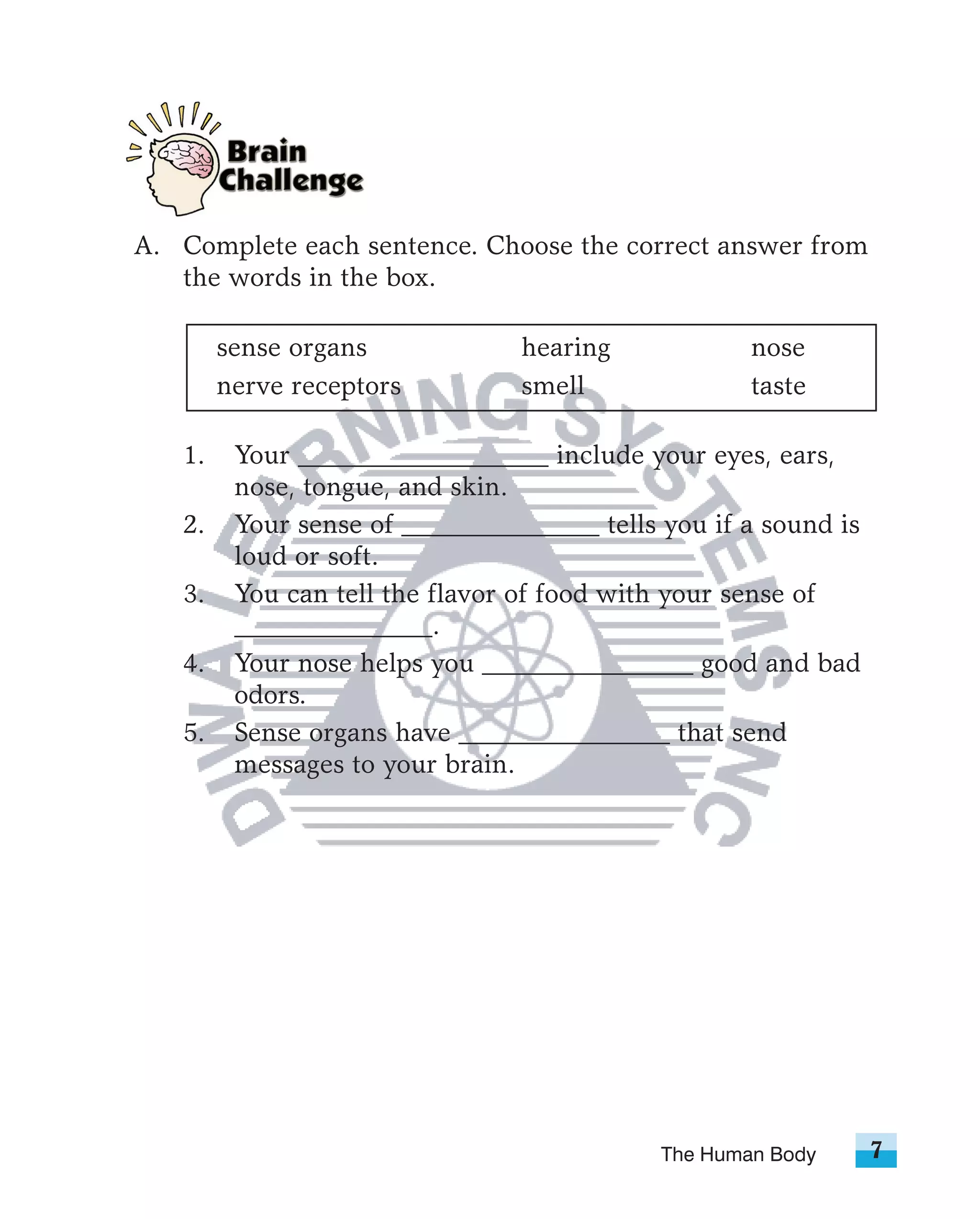 A. Complete each sentence. Choose the correct answer from
   the words in the box.

        sense organs             hearing             nose
        nerve receptors          smell               taste

   1.    Your ___________________ include your eyes, ears,
         nose, tongue, and skin.
   2.    Your sense of _______________ tells you if a sound is
         loud or soft.
   3.    You can tell the flavor of food with your sense of
         _______________.
   4.    Your nose helps you ________________ good and bad
         odors.
   5.    Sense organs have ________________ that send
         messages to your brain.




                                             The Human Body      7
 