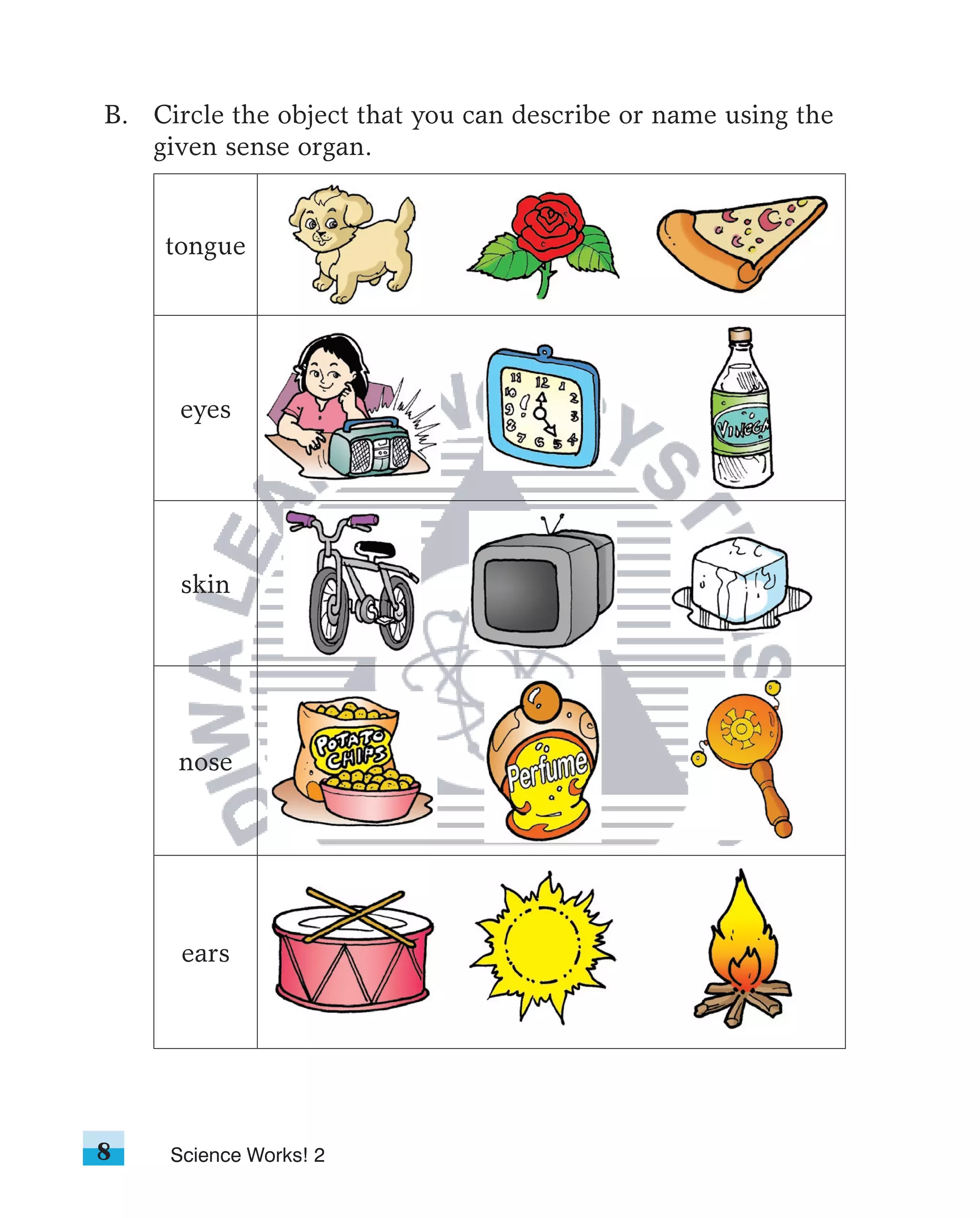 B. Circle the object that you can describe or name using the
   given sense organ.


     tongue




      eyes




      skin




      nose




      ears




8    Science Works! 2
 