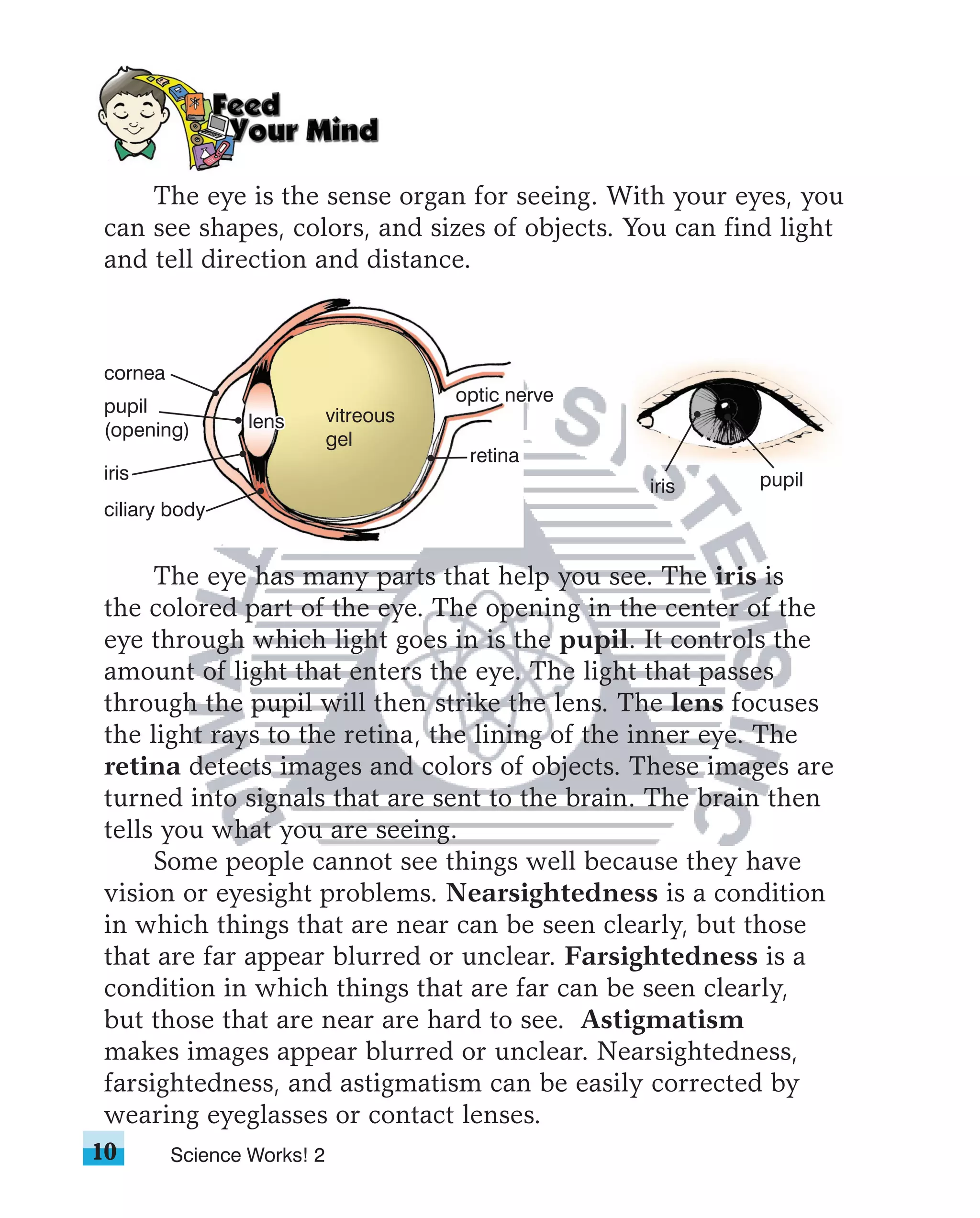 The eye is the sense organ for seeing. With your eyes, you
can see shapes, colors, and sizes of objects. You can find light
and tell direction and distance.



cornea
                                       optic nerve
pupil                       vitreous
(opening)        lens
                            gel
                                        retina
iris                                                        pupil
                                                     iris
ciliary body


     The eye has many parts that help you see. The iris is
the colored part of the eye. The opening in the center of the
eye through which light goes in is the pupil. It controls the
amount of light that enters the eye. The light that passes
through the pupil will then strike the lens. The lens focuses
the light rays to the retina, the lining of the inner eye. The
retina detects images and colors of objects. These images are
turned into signals that are sent to the brain. The brain then
tells you what you are seeing.
     Some people cannot see things well because they have
vision or eyesight problems. Nearsightedness is a condition
in which things that are near can be seen clearly, but those
that are far appear blurred or unclear. Farsightedness is a
condition in which things that are far can be seen clearly,
but those that are near are hard to see. Astigmatism
makes images appear blurred or unclear. Nearsightedness,
farsightedness, and astigmatism can be easily corrected by
wearing eyeglasses or contact lenses.
10       Science Works! 2
 