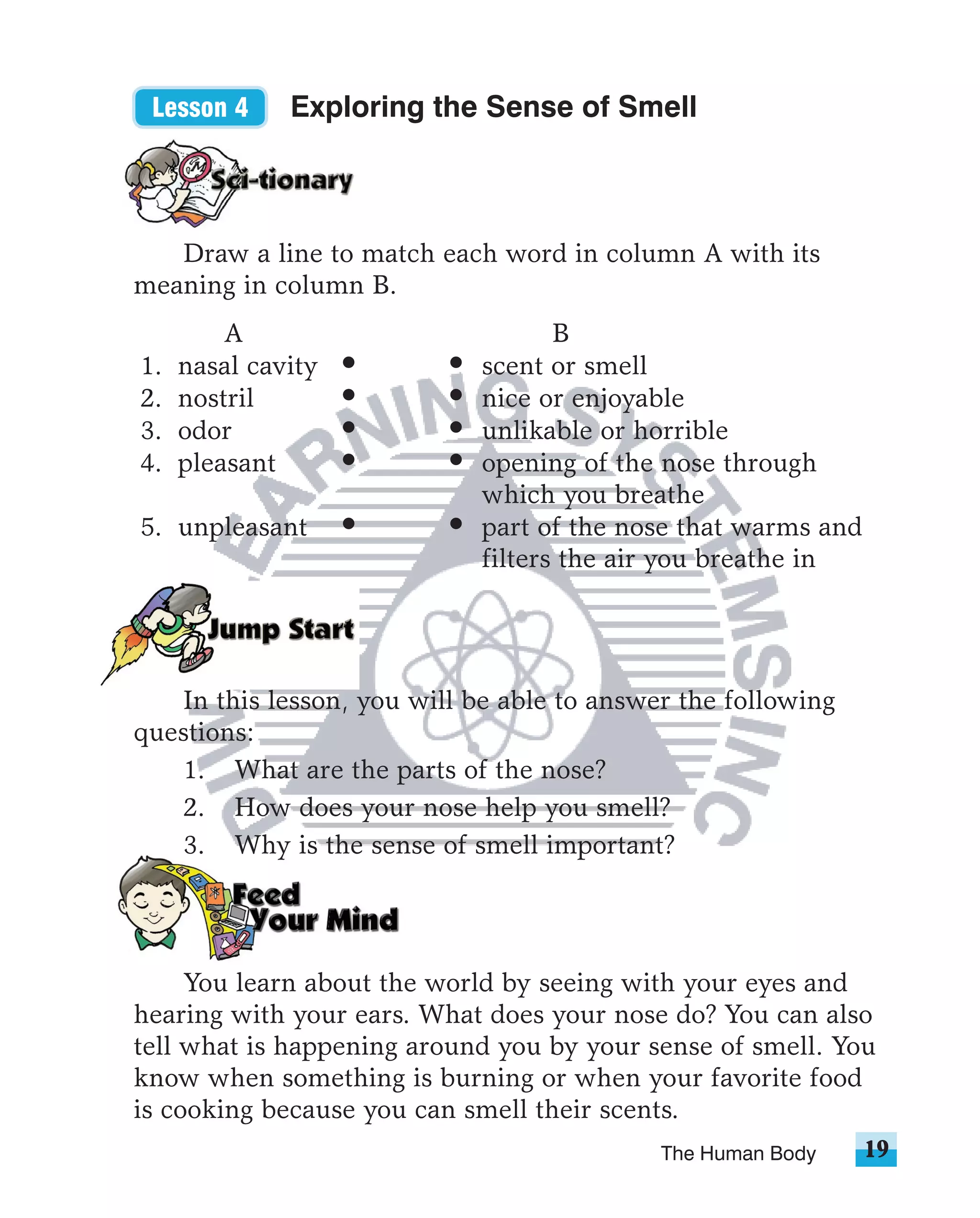 Lesson 4     Exploring the Sense of Smell



   Draw a line to match each word in column A with its
meaning in column B.
         A                          B
1.   nasal cavity            scent or smell
2.   nostril                 nice or enjoyable
3.   odor                    unlikable or horrible
4.   pleasant                opening of the nose through
                             which you breathe
5. unpleasant                part of the nose that warms and
                             filters the air you breathe in




   In this lesson, you will be able to answer the following
questions:
   1. What are the parts of the nose?
   2. How does your nose help you smell?
   3. Why is the sense of smell important?




     You learn about the world by seeing with your eyes and
hearing with your ears. What does your nose do? You can also
tell what is happening around you by your sense of smell. You
know when something is burning or when your favorite food
is cooking because you can smell their scents.
                                            The Human Body     19
 