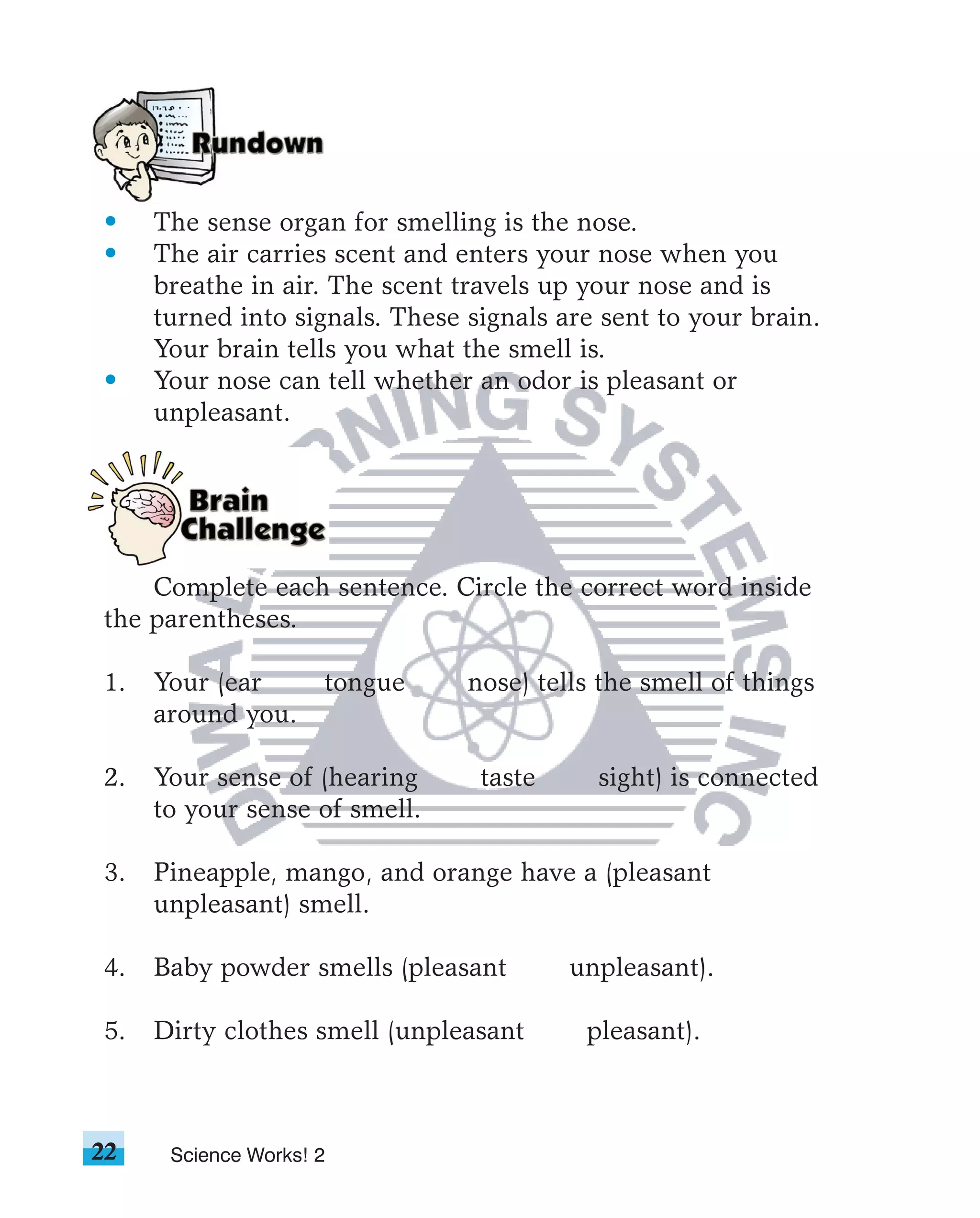 •    The sense organ for smelling is the nose.
•    The air carries scent and enters your nose when you
     breathe in air. The scent travels up your nose and is
     turned into signals. These signals are sent to your brain.
     Your brain tells you what the smell is.
•    Your nose can tell whether an odor is pleasant or
     unpleasant.




    Complete each sentence. Circle the correct word inside
the parentheses.

1.   Your (ear       tongue     nose) tells the smell of things
     around you.

2.   Your sense of (hearing      taste     sight) is connected
     to your sense of smell.

3.   Pineapple, mango, and orange have a (pleasant
     unpleasant) smell.

4.   Baby powder smells (pleasant        unpleasant).

5.   Dirty clothes smell (unpleasant      pleasant).



22    Science Works! 2
 