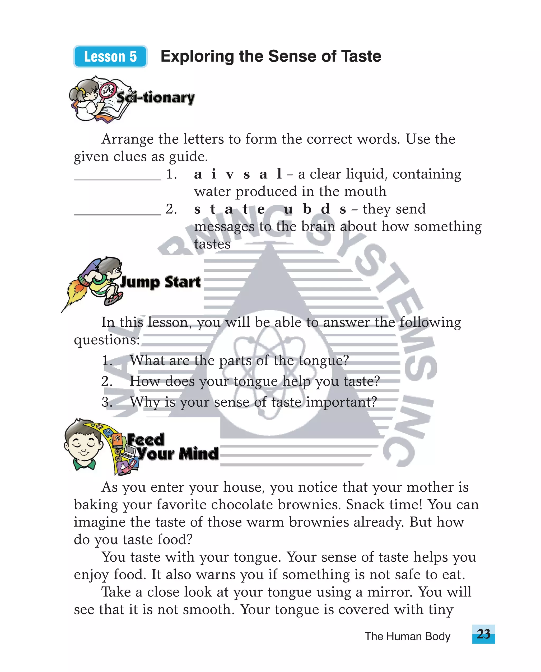 Lesson 5    Exploring the Sense of Taste



    Arrange the letters to form the correct words. Use the
given clues as guide.
____________ 1. a i v s a l – a clear liquid, containing
                   water produced in the mouth
____________ 2. s t a t e u b d s – they send
                   messages to the brain about how something
                   tastes




   In this lesson, you will be able to answer the following
questions:
   1. What are the parts of the tongue?
   2. How does your tongue help you taste?
   3. Why is your sense of taste important?




    As you enter your house, you notice that your mother is
baking your favorite chocolate brownies. Snack time! You can
imagine the taste of those warm brownies already. But how
do you taste food?
    You taste with your tongue. Your sense of taste helps you
enjoy food. It also warns you if something is not safe to eat.
    Take a close look at your tongue using a mirror. You will
see that it is not smooth. Your tongue is covered with tiny
                                            The Human Body    23
 