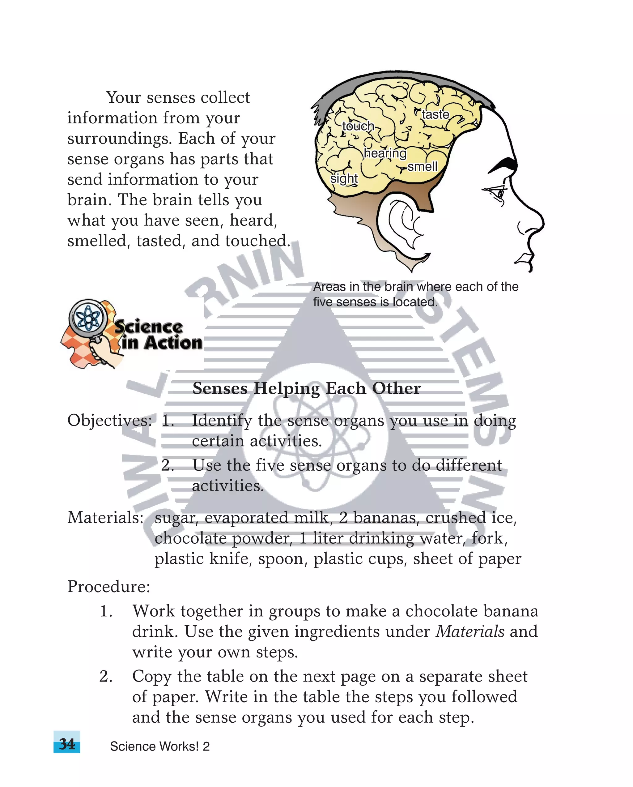 Your senses collect
information from your                                  taste
                                      touch
surroundings. Each of your
                                           hearing
sense organs has parts that                          smell
send information to your           sight
brain. The brain tells you
what you have seen, heard,
smelled, tasted, and touched.

                                 Areas in the brain where each of the
                                 five senses is located.




                  Senses Helping Each Other
Objectives: 1. Identify the sense organs you use in doing
               certain activities.
            2. Use the five sense organs to do different
               activities.
Materials: sugar, evaporated milk, 2 bananas, crushed ice,
           chocolate powder, 1 liter drinking water, fork,
           plastic knife, spoon, plastic cups, sheet of paper
Procedure:
    1. Work together in groups to make a chocolate banana
       drink. Use the given ingredients under Materials and
       write your own steps.
    2. Copy the table on the next page on a separate sheet
       of paper. Write in the table the steps you followed
       and the sense organs you used for each step.
34   Science Works! 2
 