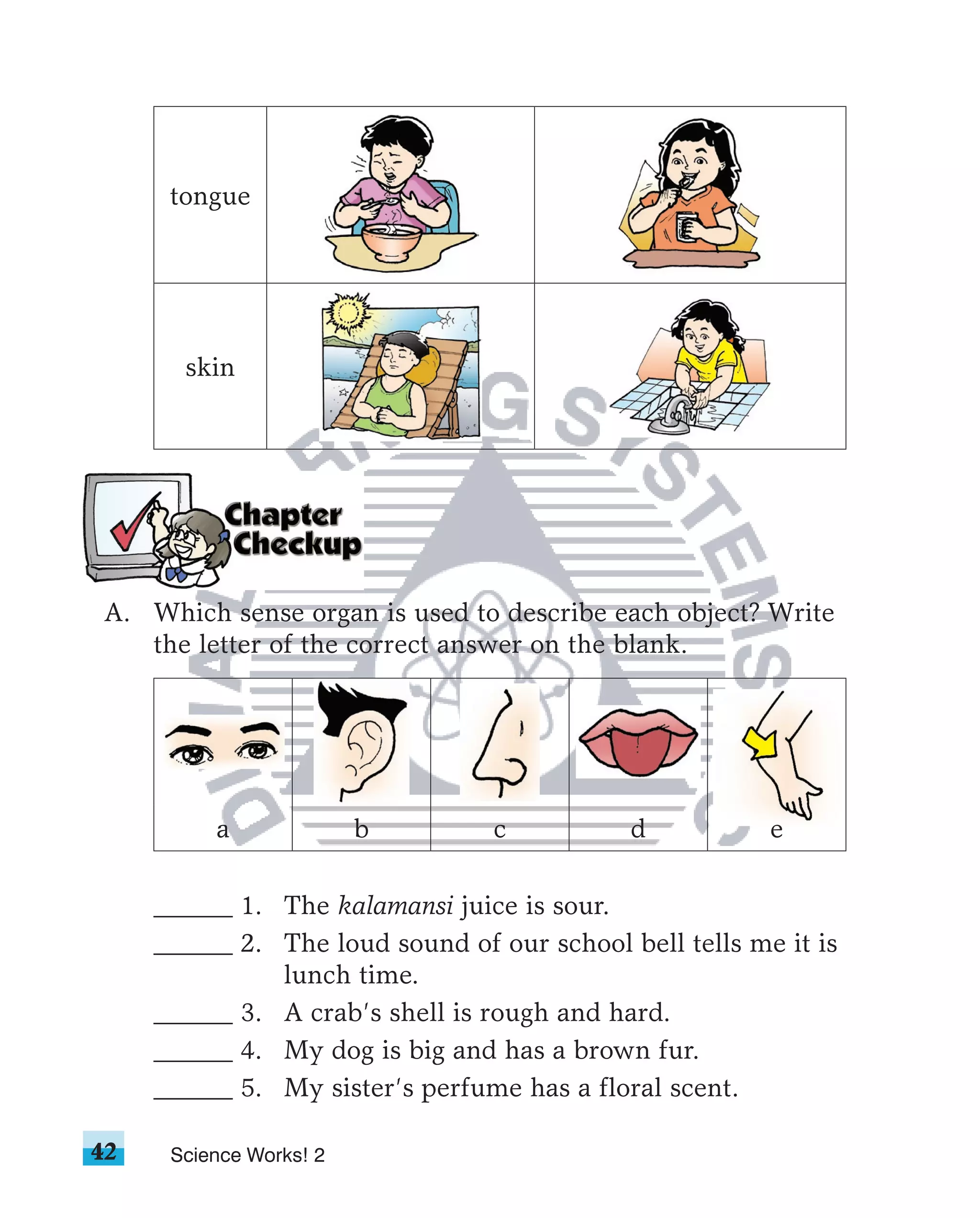 tongue




       skin




A. Which sense organ is used to describe each object? Write
   the letter of the correct answer on the blank.




          a              b       c           d           e

     ______ 1. The kalamansi juice is sour.
     ______ 2. The loud sound of our school bell tells me it is
               lunch time.
     ______ 3. A crab’s shell is rough and hard.
     ______ 4. My dog is big and has a brown fur.
     ______ 5. My sister’s perfume has a floral scent.

42    Science Works! 2
 
