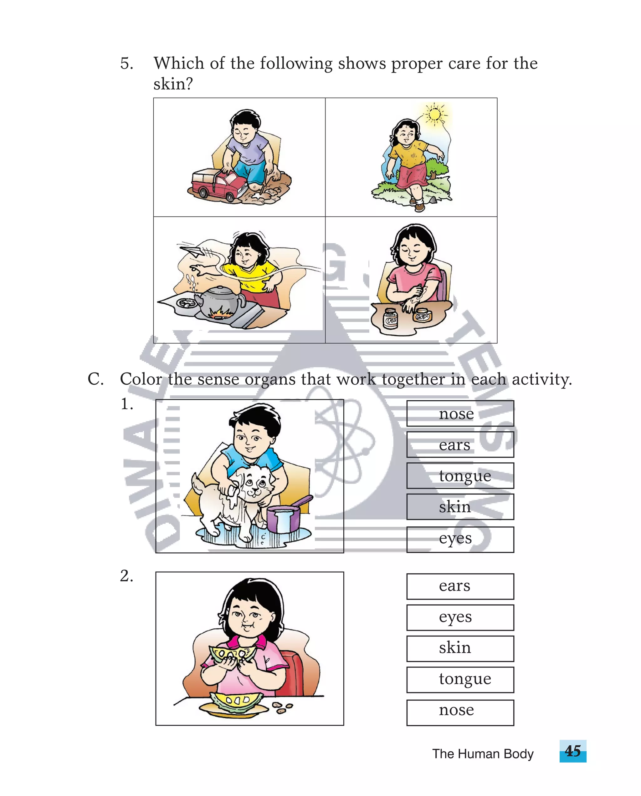 5.   Which of the following shows proper care for the
         skin?




C. Color the sense organs that work together in each activity.
   1.
                                           nose
                                            ears
                                            tongue
                                            skin
                                            eyes

    2.
                                            ears
                                            eyes
                                            skin
                                            tongue
                                            nose

                                            The Human Body   45
 