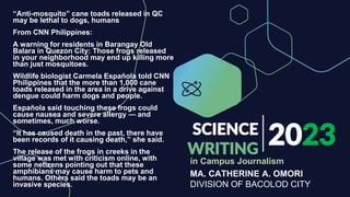 2023
SCIENCE
WRITING
MA. CATHERINE A. OMORI
DIVISION OF BACOLOD CITY
“Anti-mosquito” cane toads released in QC
may be lethal to dogs, humans
From CNN Philippines:
A warning for residents in Barangay Old
Balara in Quezon City: Those frogs released
in your neighborhood may end up killing more
than just mosquitoes.
Wildlife biologist Carmela Española told CNN
Philippines that the more than 1,000 cane
toads released in the area in a drive against
dengue could harm dogs and people.
Española said touching these frogs could
cause nausea and severe allergy — and
sometimes, much worse.
“It has caused death in the past, there have
been records of it causing death,” she said.
The release of the frogs in creeks in the
village was met with criticism online, with
some netizens pointing out that these
amphibians may cause harm to pets and
humans. Others said the toads may be an
invasive species.
in Campus Journalism
 