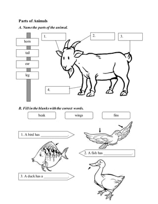 Parts of Animals
A. Namethe parts of the animal.
B. Fill in the blankswiththe correct words.
horn
tail
ear
leg
4.
1. 3.2.
beak wings fins
3. A duck has a _____________.
2. A fish has _______________.
1. A bird has ______________.
 