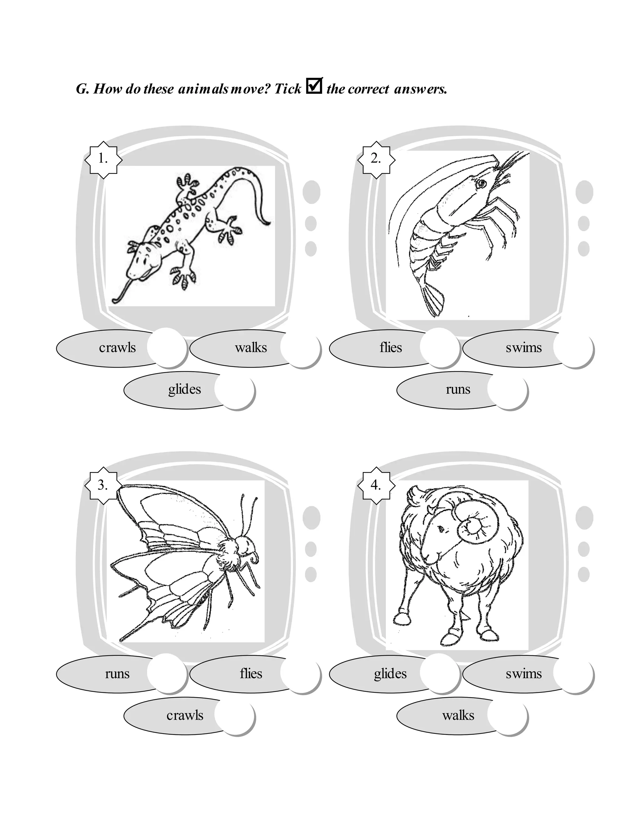 Science exercise year 1 | DOC