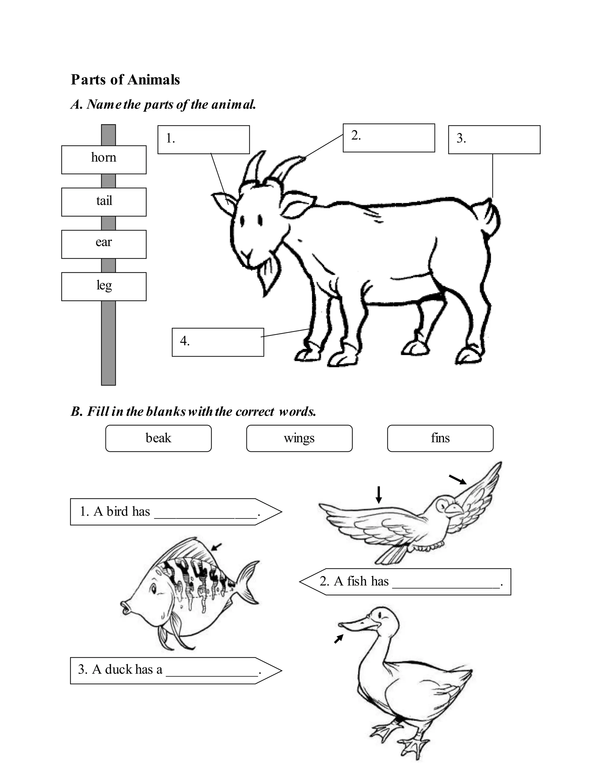 Science exercise year 1 | DOC