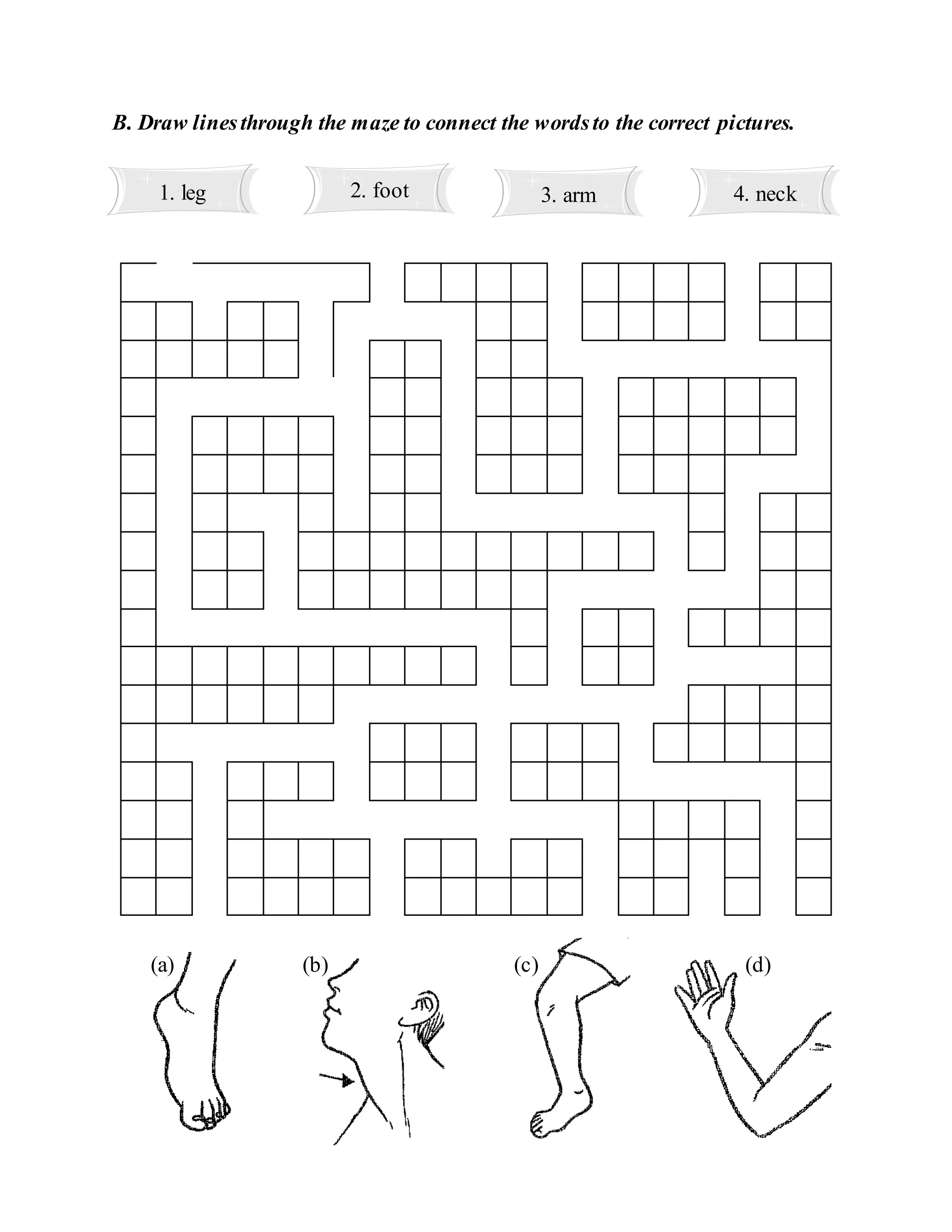 Science exercise year 1 | DOC