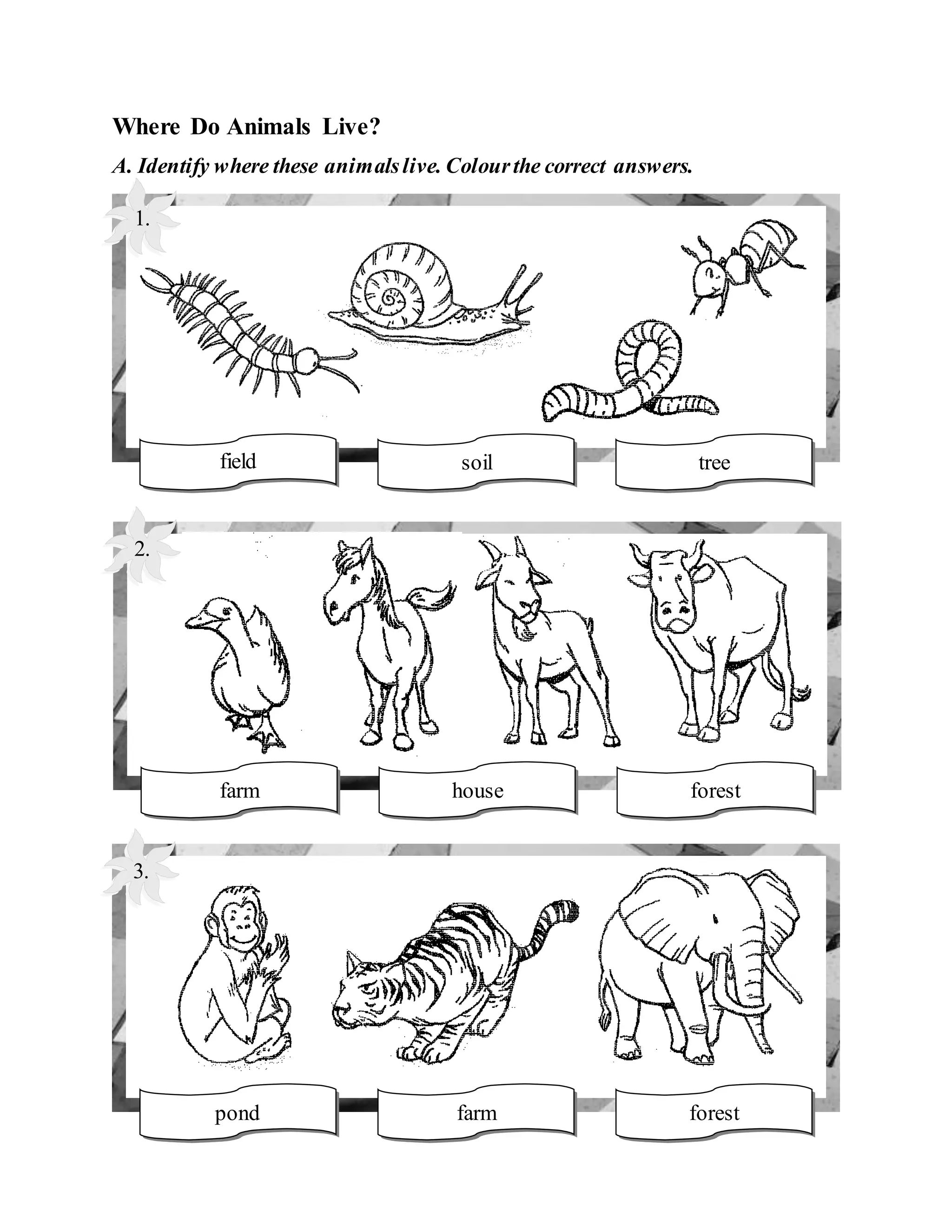 Science exercise year 1 | DOC