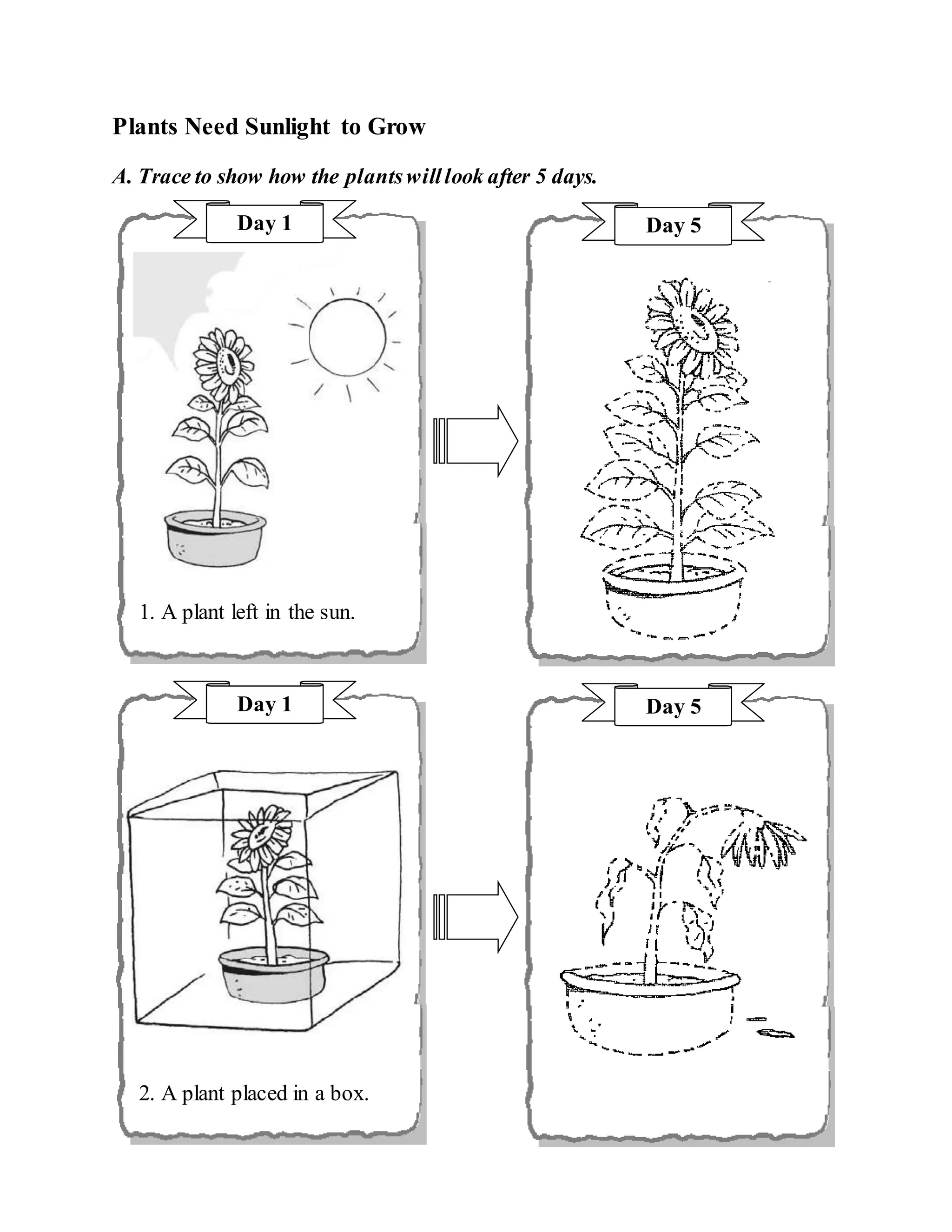 Science exercise year 1 | DOC