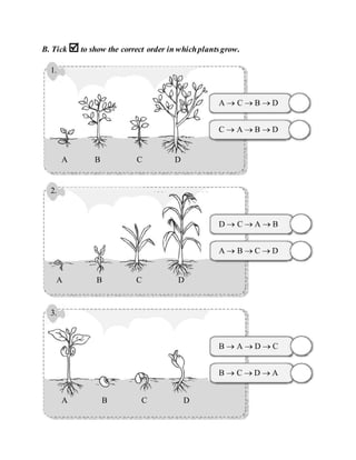 B. Tick to show the correct order in whichplantsgrow.
1.
A B C D
A  C  B  D
C  A  B  D
2.
A B C D
D  C  A  B
A  B  C  D
3.
A B C D
B  A  D  C
B  C  D  A
 