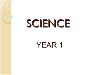 SCIENCE   YEAR 1 