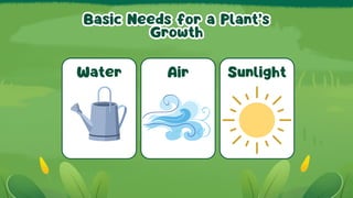 [SCIENCE YEAR 2] UNIT 5: PLANTS ( Simple Explanation about Plants) | PDF