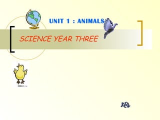 SCIENCE YEAR THREE UNIT 1 : ANIMALS 