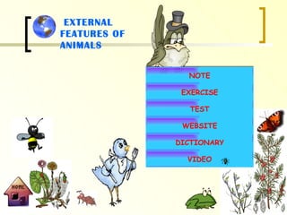 EXTERNAL FEATURES OF ANIMALS NOTE EXERCISE TEST WEBSITE DICTIONARY VIDEO 