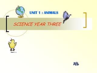  UNIT 1 : ANIMALS SCIENCE YEAR THREE 
