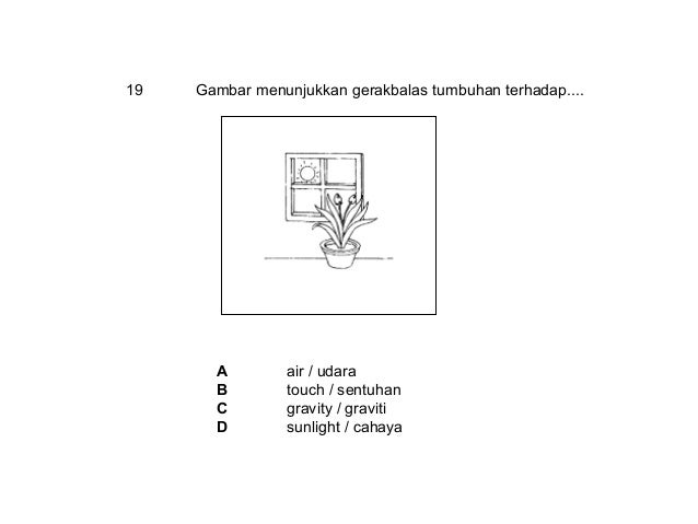 Fungsi Kalsium Klorida Kontang Loonspile