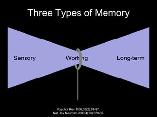 Three Types of Memory



Sensory           Working                       Long-term




            Psychol Rev 1956;63(2):81-97.
          Nat Rev Neurosci 2003;4(10):829-39.
 