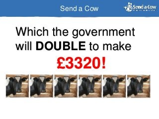 Send a Cow
Which the government
will DOUBLE to make
£3320!
 