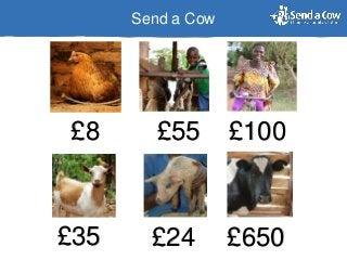 Send a Cow
£8 £55 £100
£35 £24 £650
 