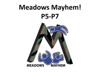 Meadows Mayhem!
P5-P7
 