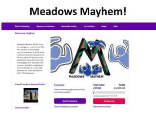 Meadows Mayhem!
P5-P7
 